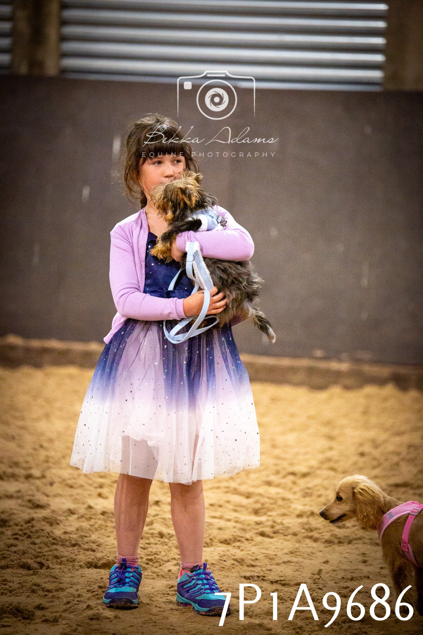 JHOYS 2025 - Dog Show - 12th September