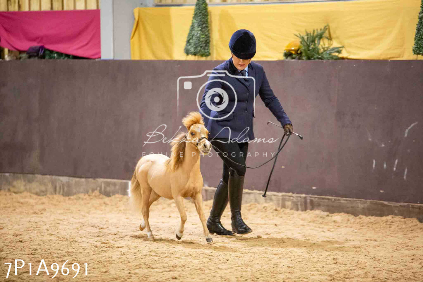Home Farm Spring Show - Inhand Showing 23rd March 2024 - Part 2
