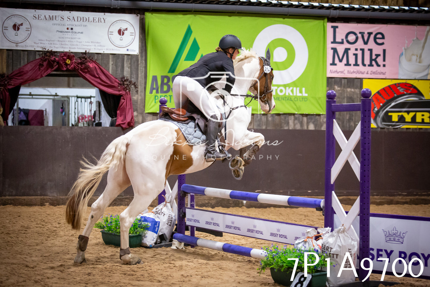 JHOYS 2025 - Senior Show Jumping - 21st September