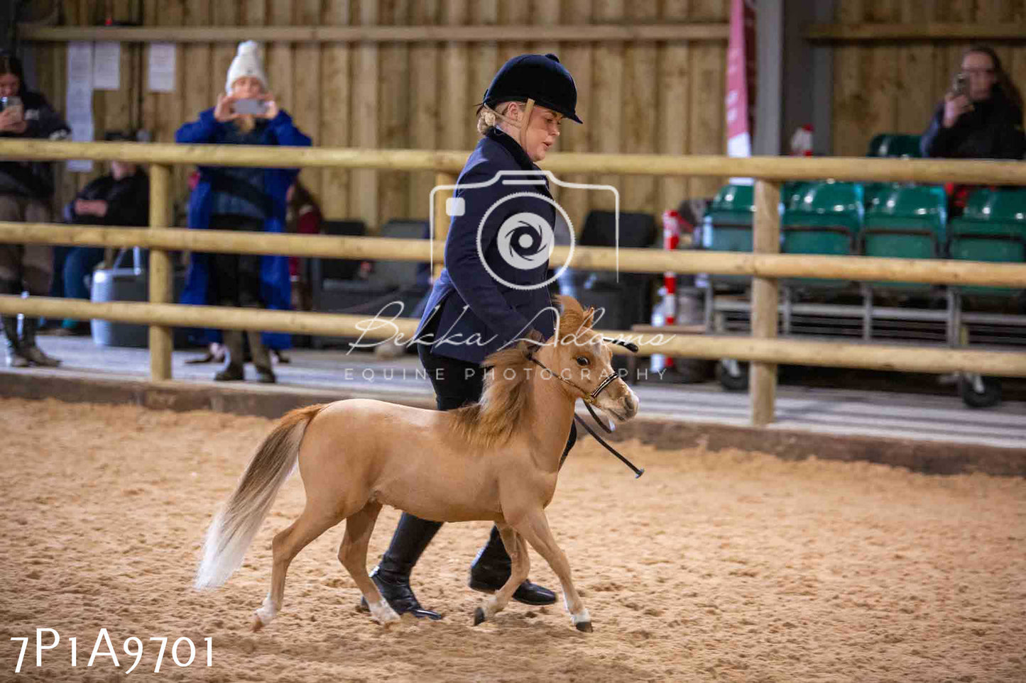 Home Farm Spring Show - Inhand Showing 23rd March 2024 - Part 2