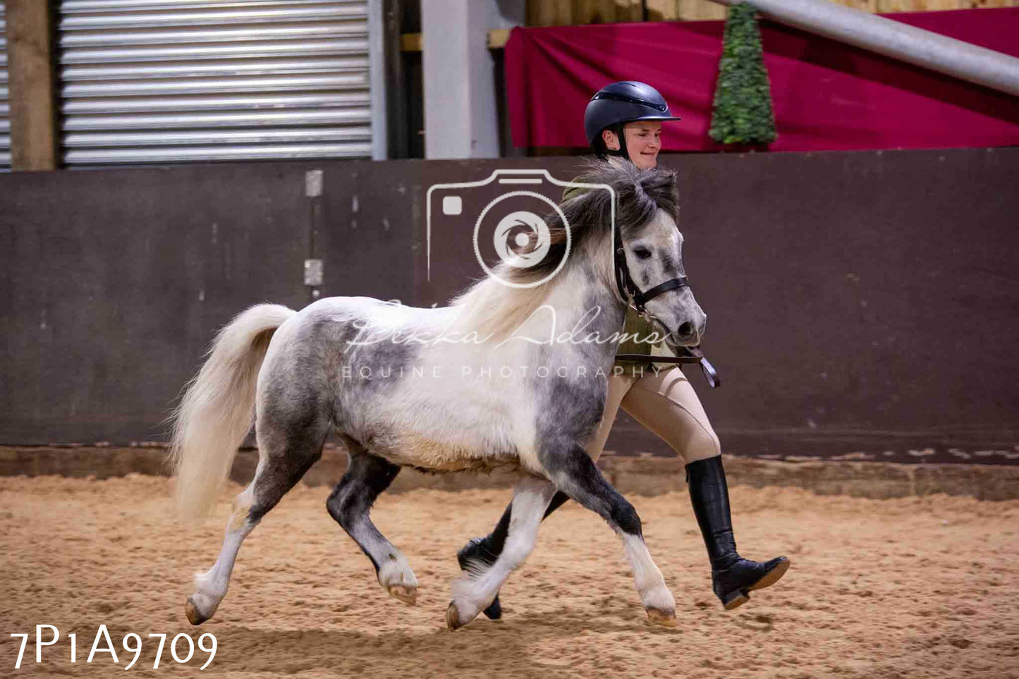 Home Farm Spring Show - Inhand Showing 23rd March 2024 - Part 2