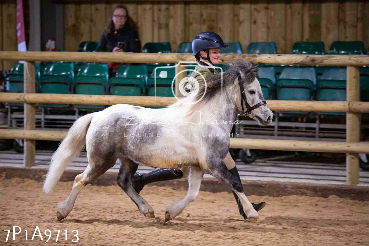 Home Farm Spring Show - Inhand Showing 23rd March 2024 - Part 2