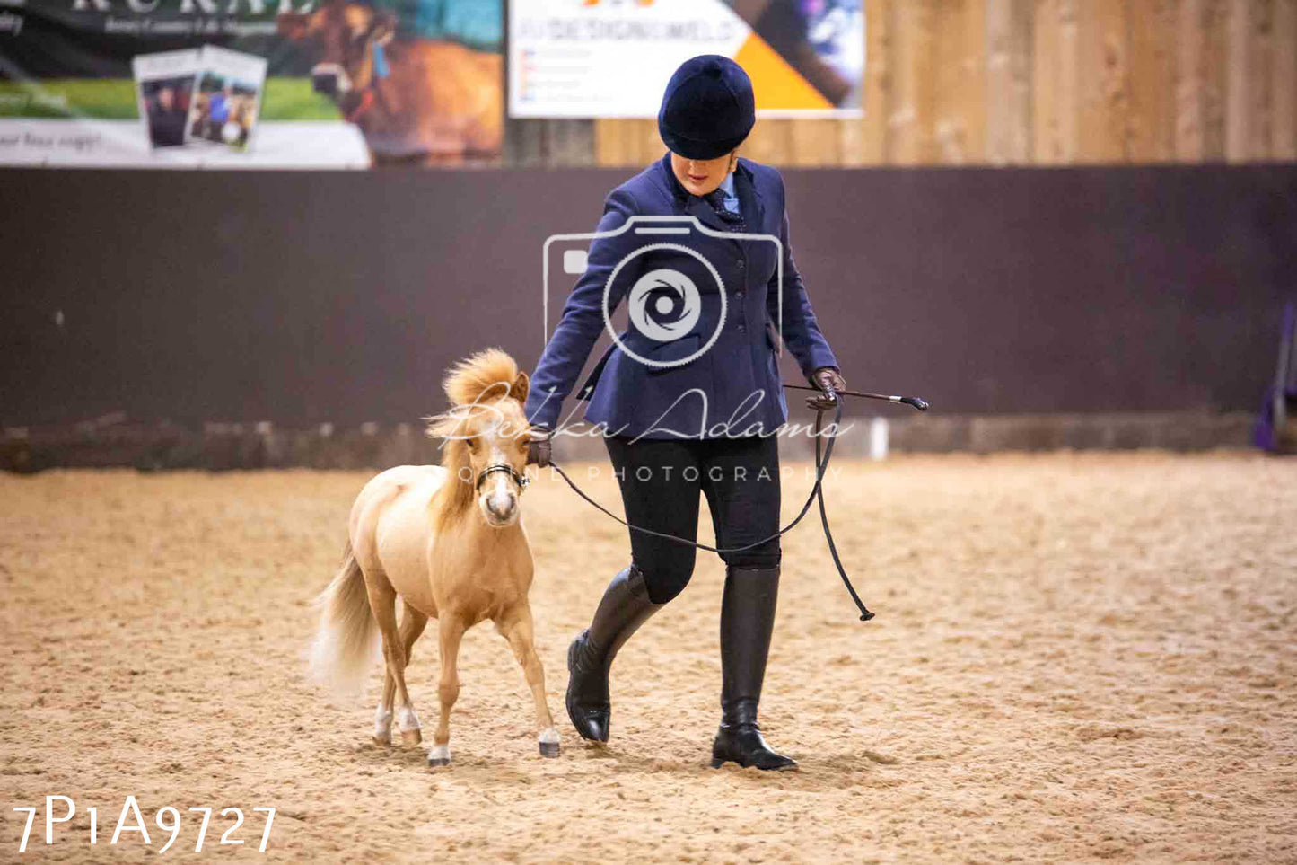 Home Farm Spring Show - Inhand Showing 23rd March 2024 - Part 2