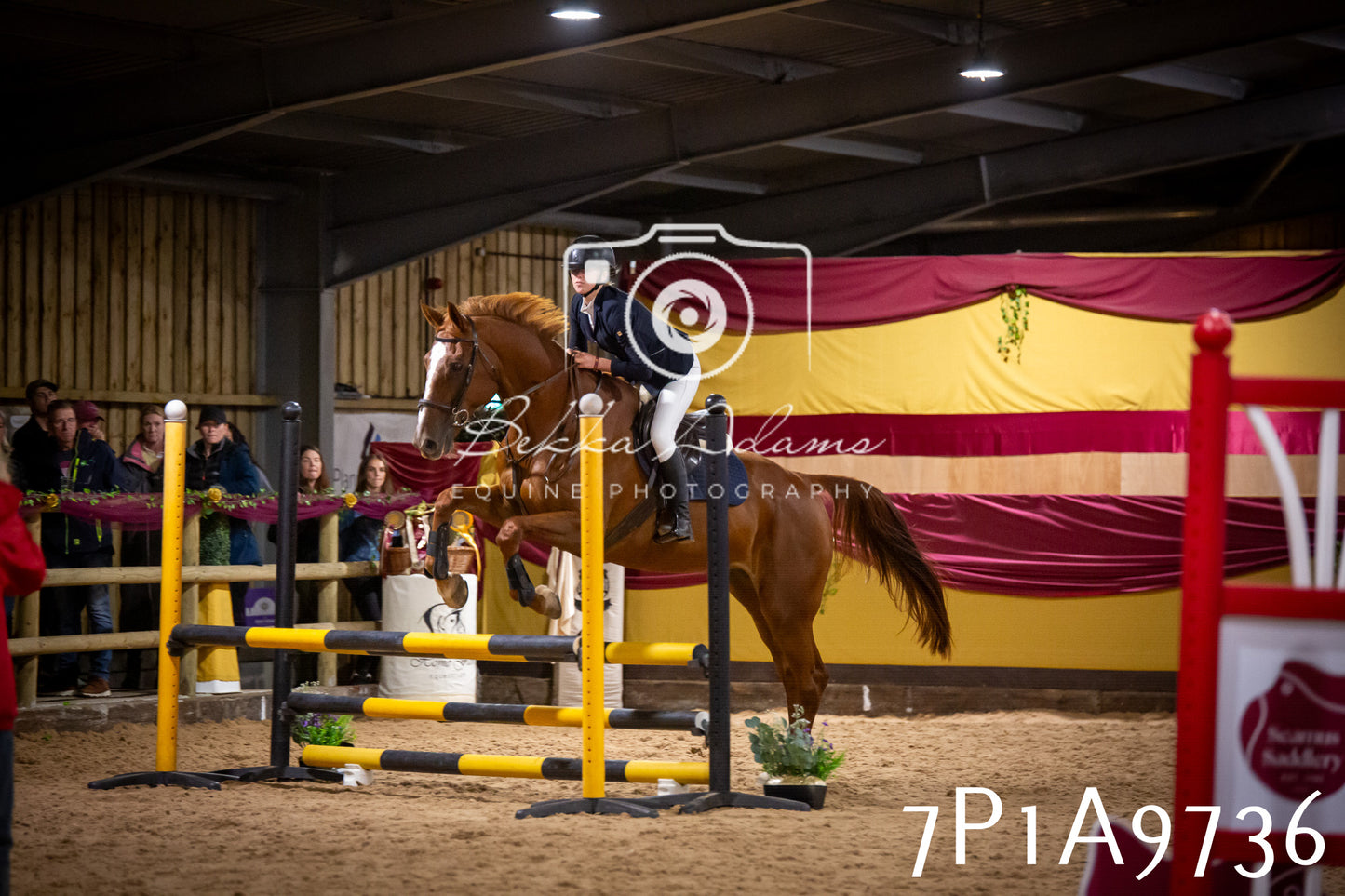 JHOYS 2025 - Senior Show Jumping - 21st September