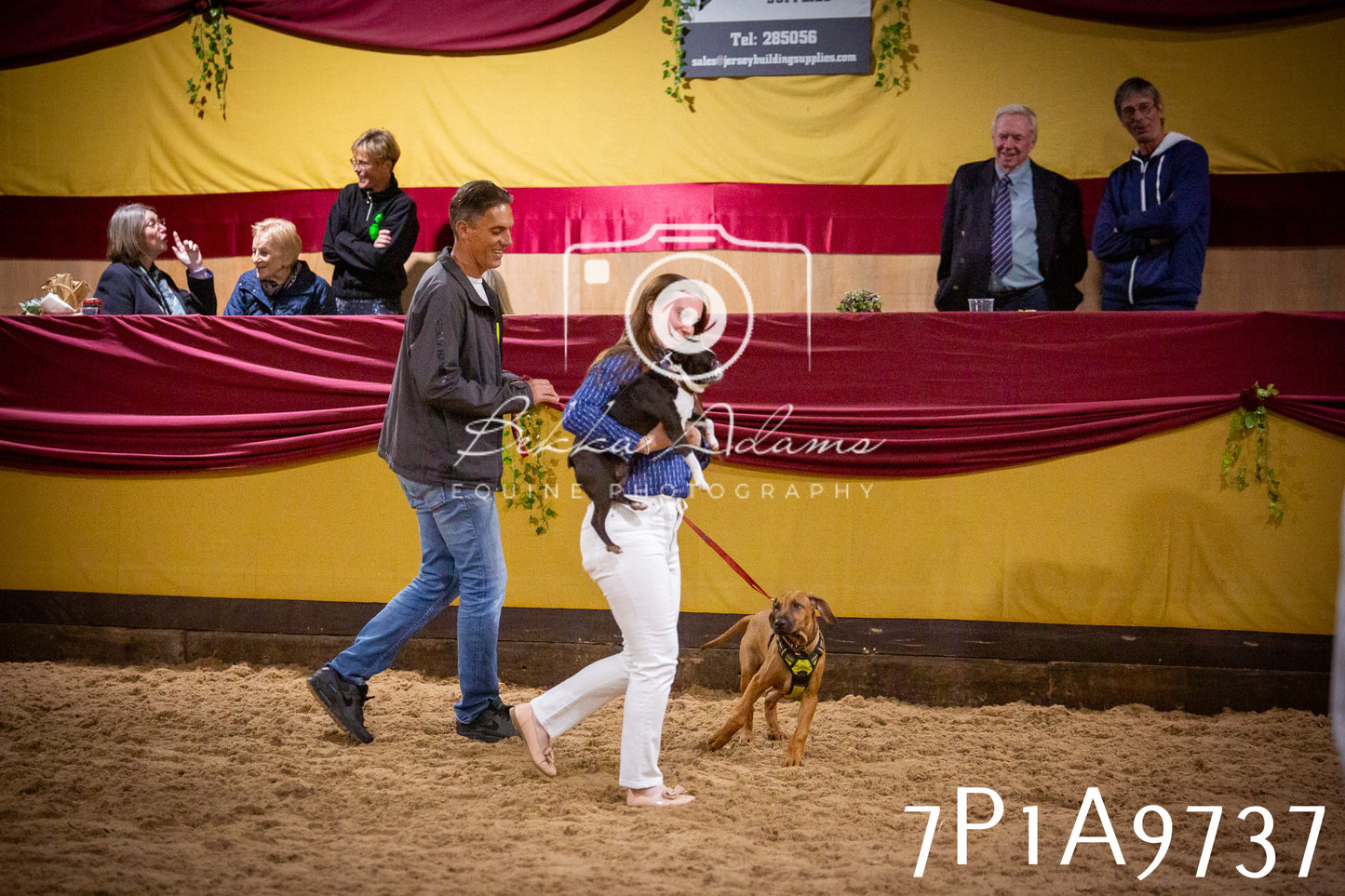 JHOYS 2025 - Dog Show - 12th September