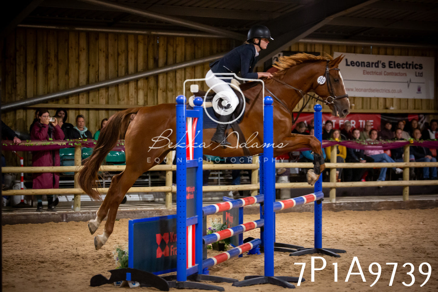 JHOYS 2025 - Senior Show Jumping - 21st September