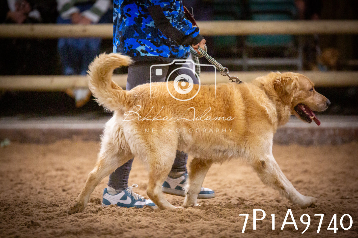 JHOYS 2025 - Dog Show - 12th September