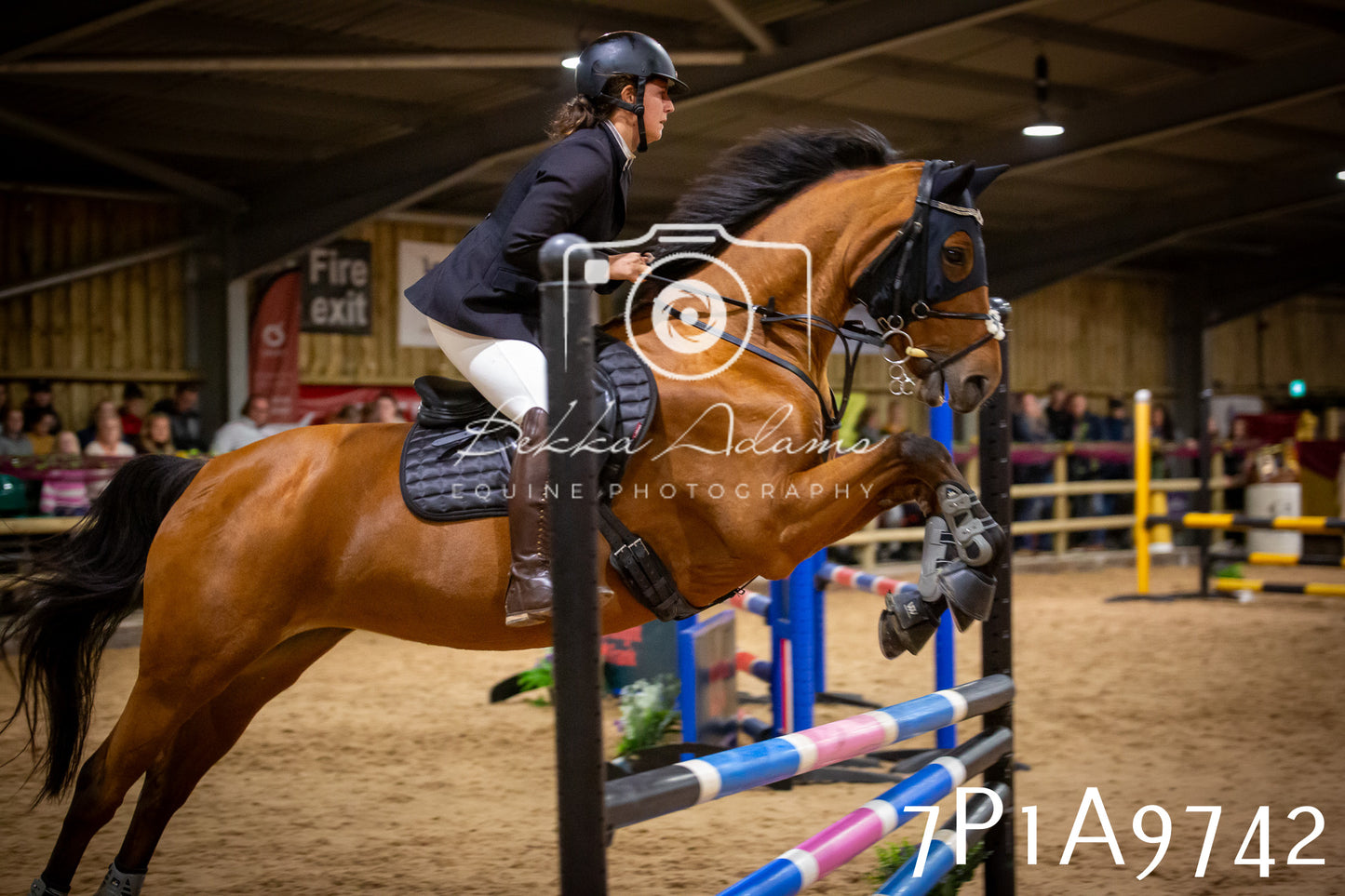 JHOYS 2025 - Senior Show Jumping - 21st September