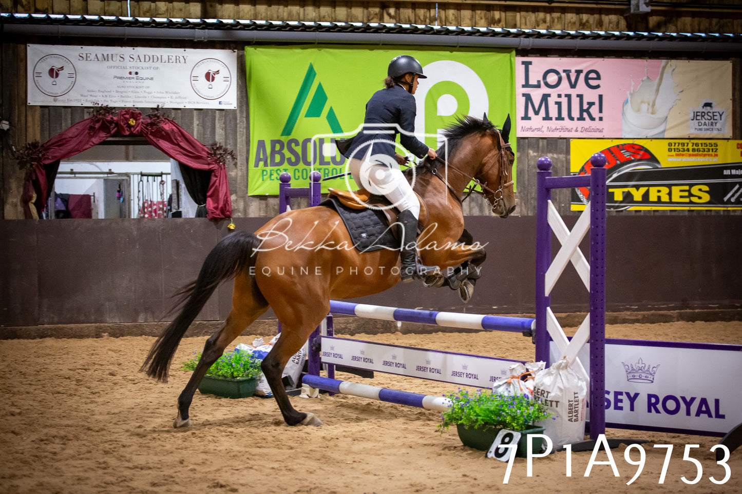 JHOYS 2025 - Senior Show Jumping - 21st September