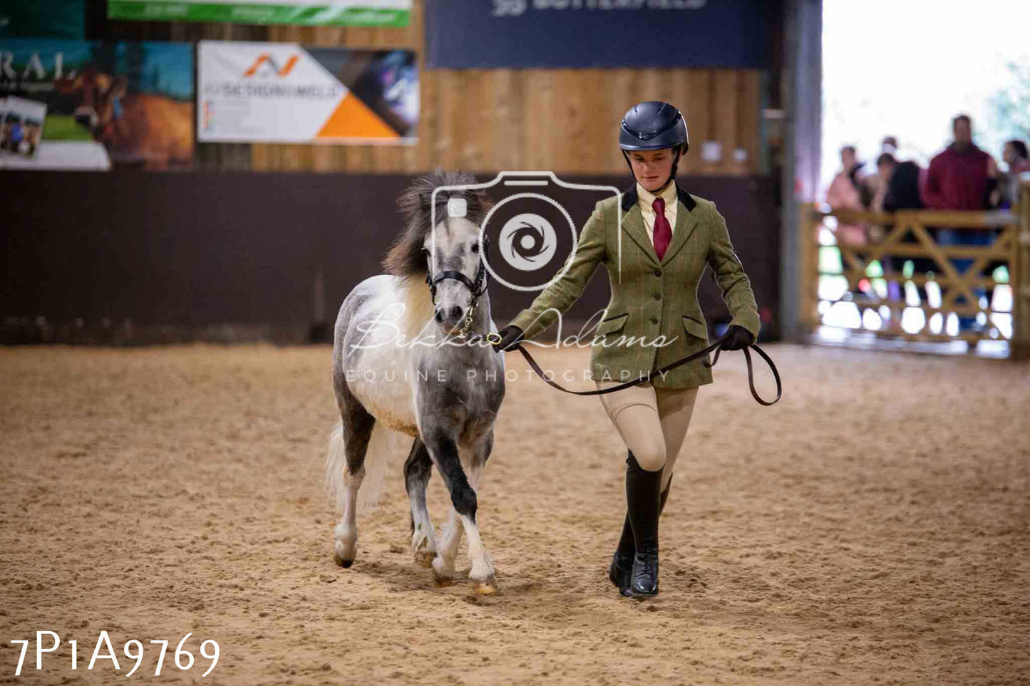 Home Farm Spring Show - Inhand Showing 23rd March 2024 - Part 2