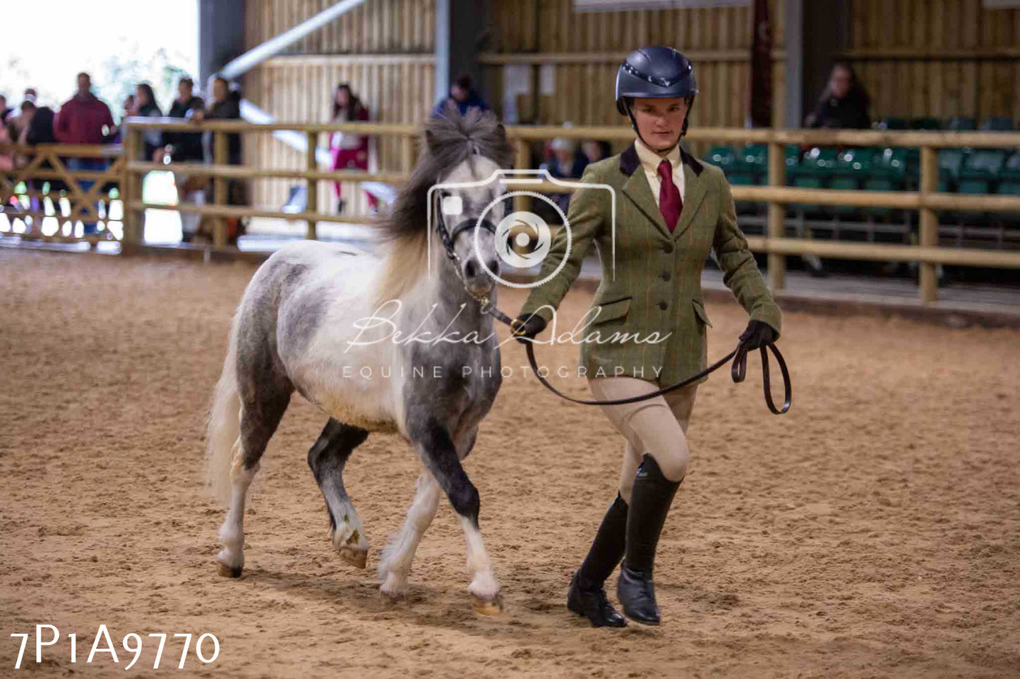 Home Farm Spring Show - Inhand Showing 23rd March 2024 - Part 2
