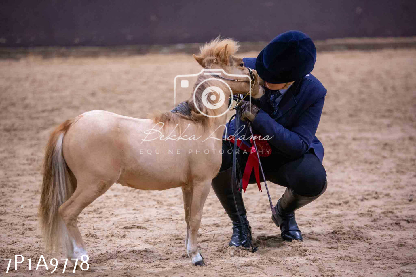 Home Farm Spring Show - Inhand Showing 23rd March 2024 - Part 2