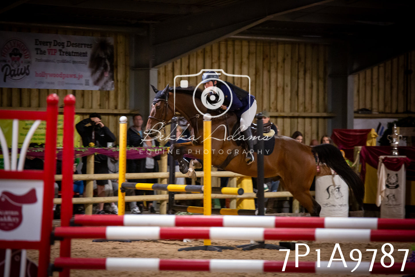 JHOYS 2025 - Senior Show Jumping - 21st September
