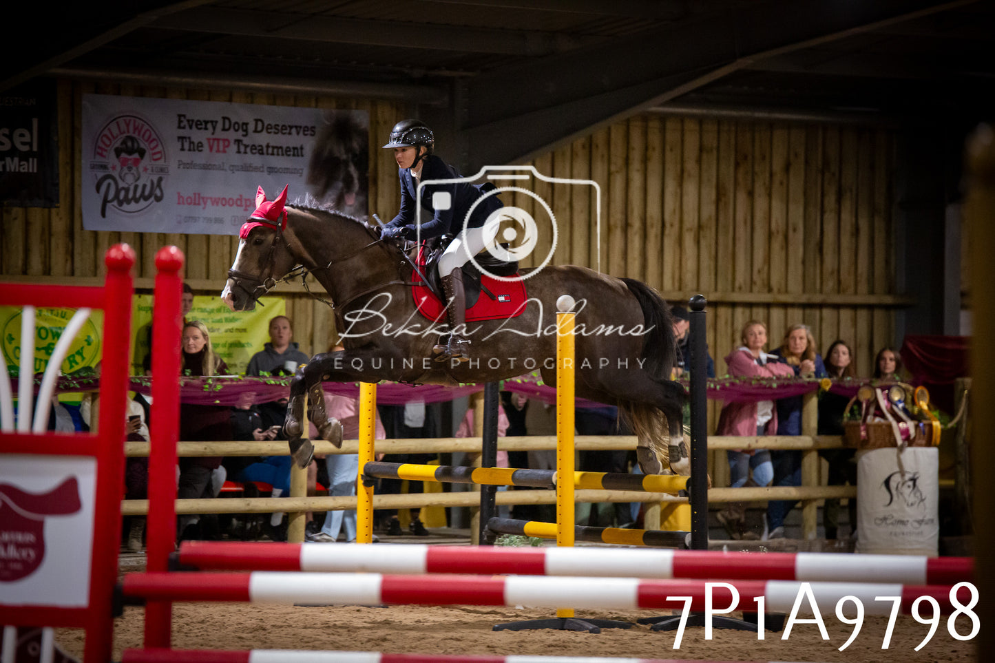 JHOYS 2025 - Senior Show Jumping - 21st September