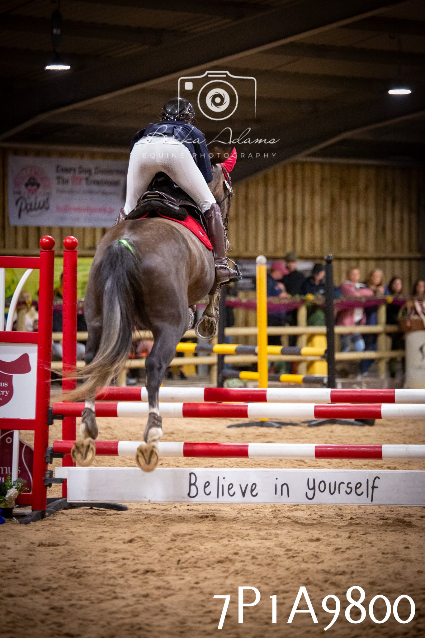 JHOYS 2025 - Senior Show Jumping - 21st September