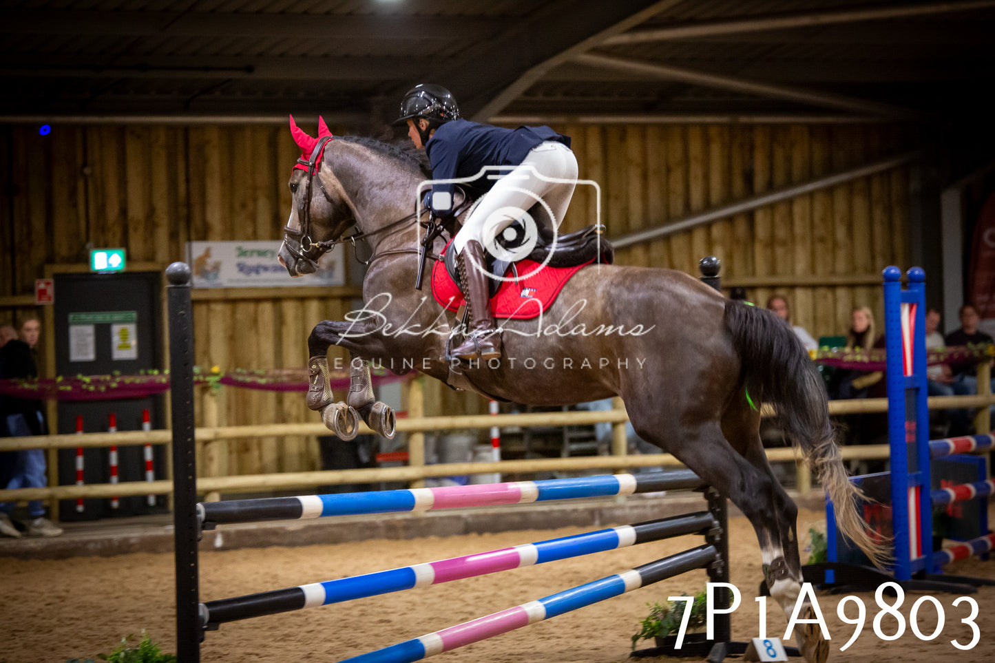 JHOYS 2025 - Senior Show Jumping - 21st September
