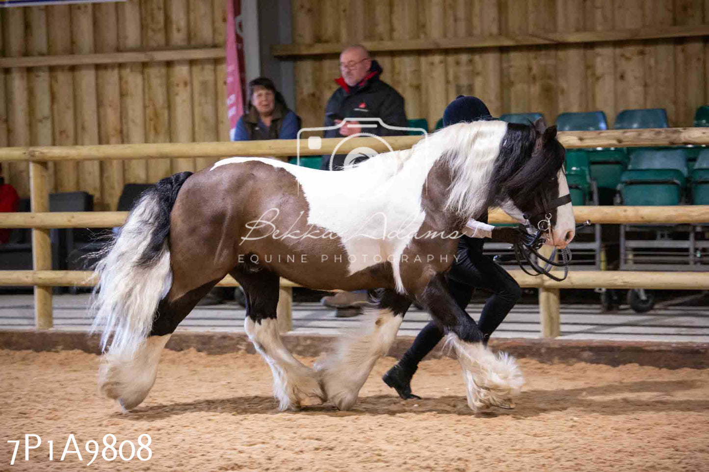 Home Farm Spring Show - Inhand Showing 23rd March 2024 - Part 2