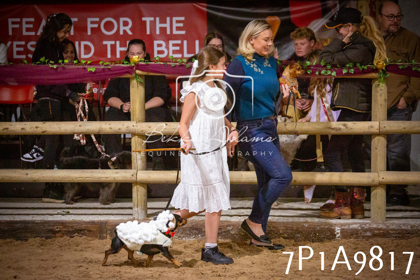 JHOYS 2025 - Dog Show - 12th September