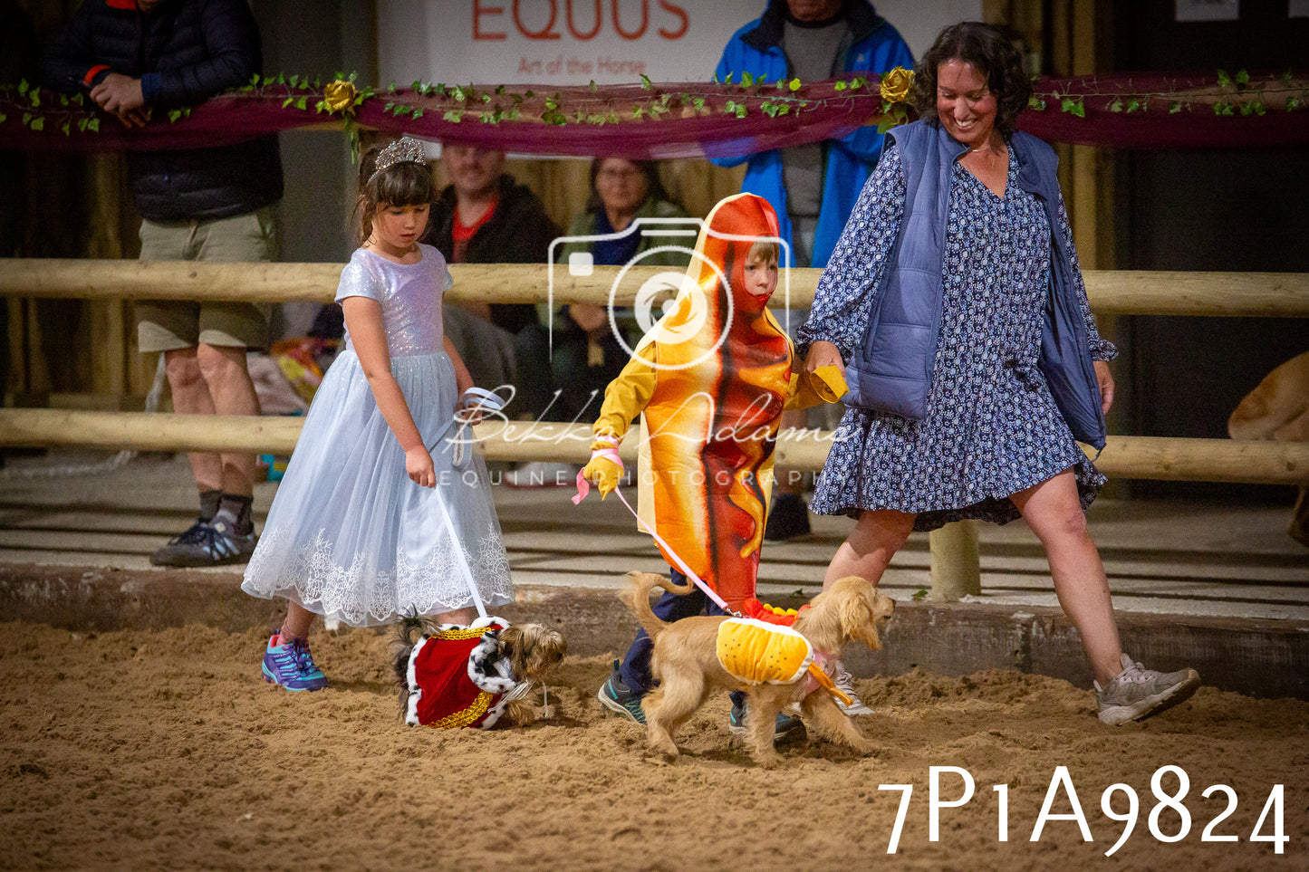 JHOYS 2025 - Dog Show - 12th September