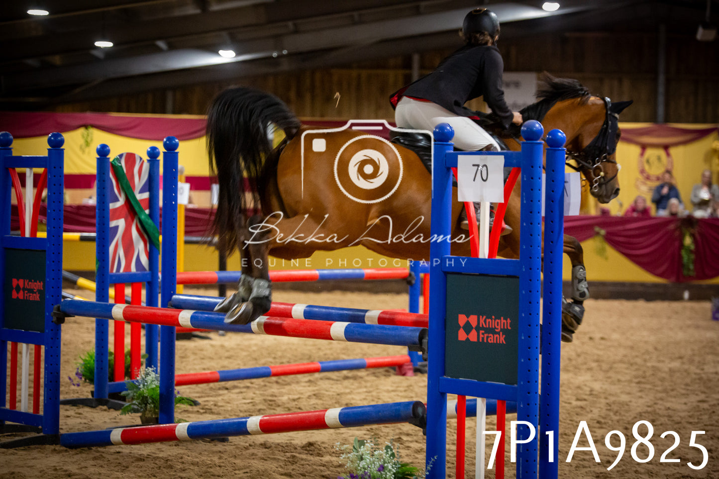 JHOYS 2025 - Senior Show Jumping - 21st September