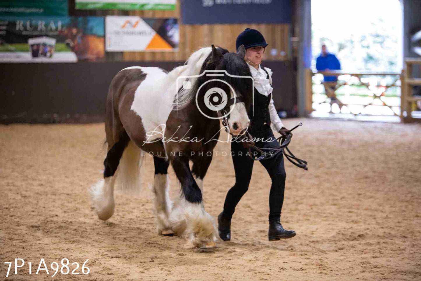 Home Farm Spring Show - Inhand Showing 23rd March 2024 - Part 2