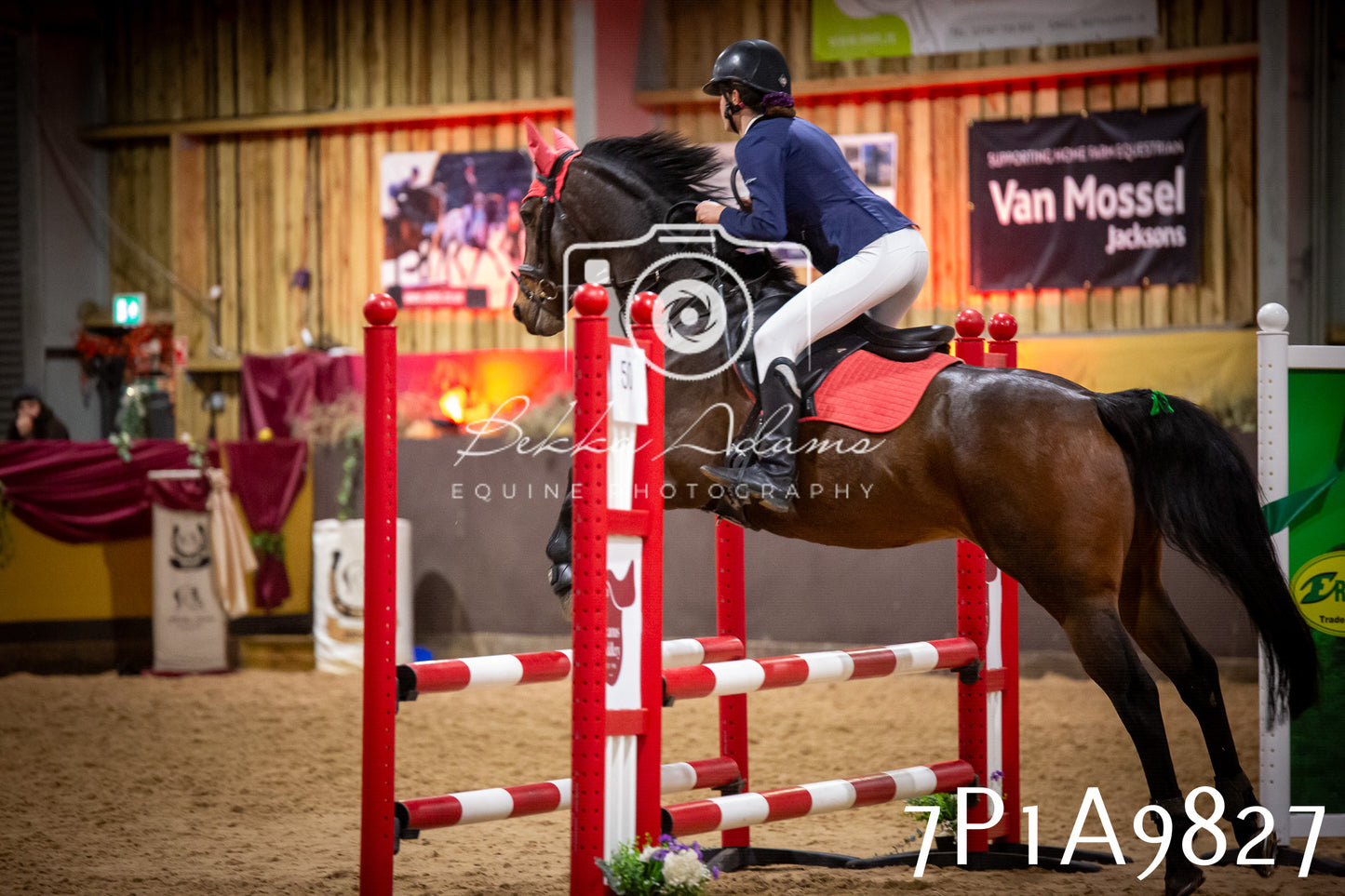 JHOYS 2025 - Senior Show Jumping - 21st September