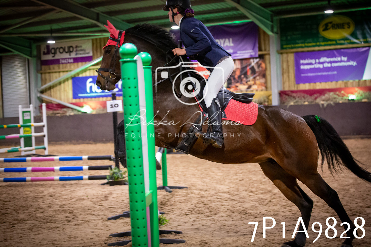 JHOYS 2025 - Senior Show Jumping - 21st September