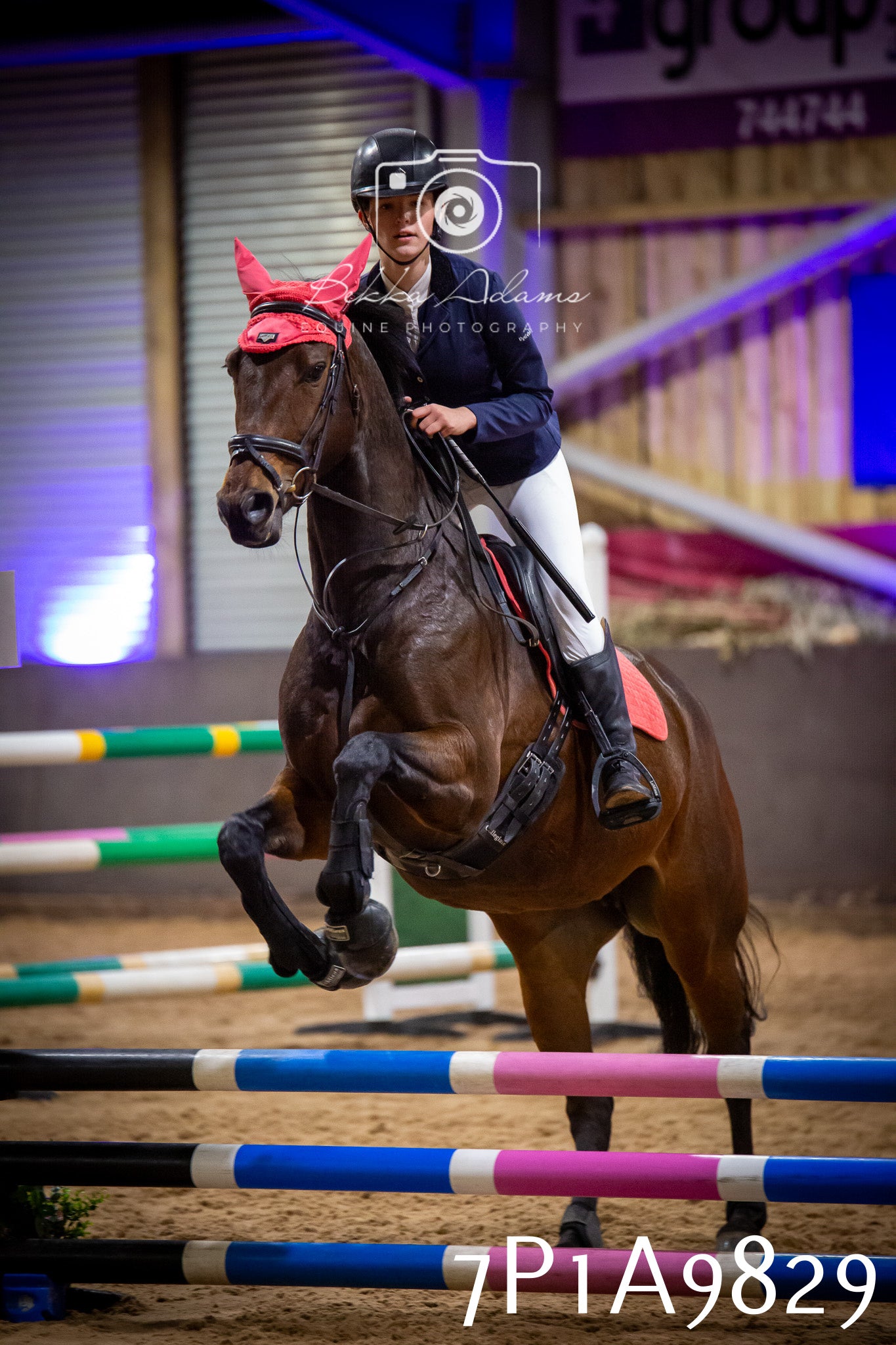 JHOYS 2025 - Senior Show Jumping - 21st September