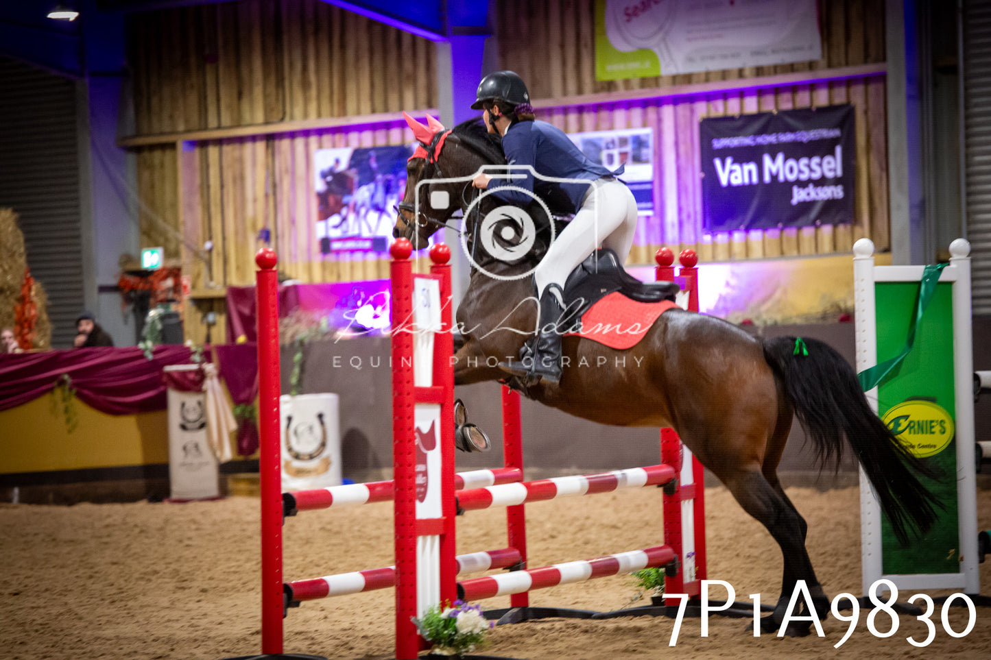 JHOYS 2025 - Senior Show Jumping - 21st September