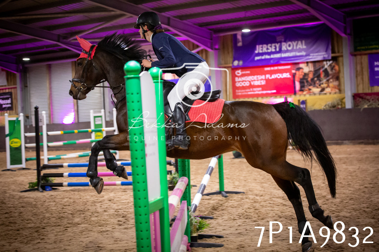 JHOYS 2025 - Senior Show Jumping - 21st September