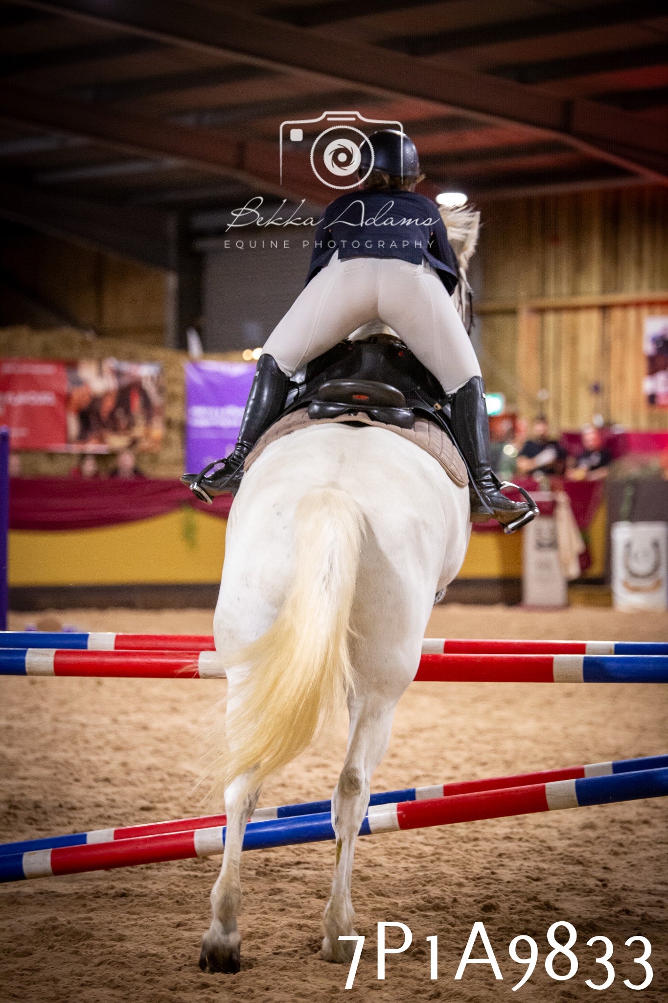 JHOYS 2025 - Senior Show Jumping - 21st September