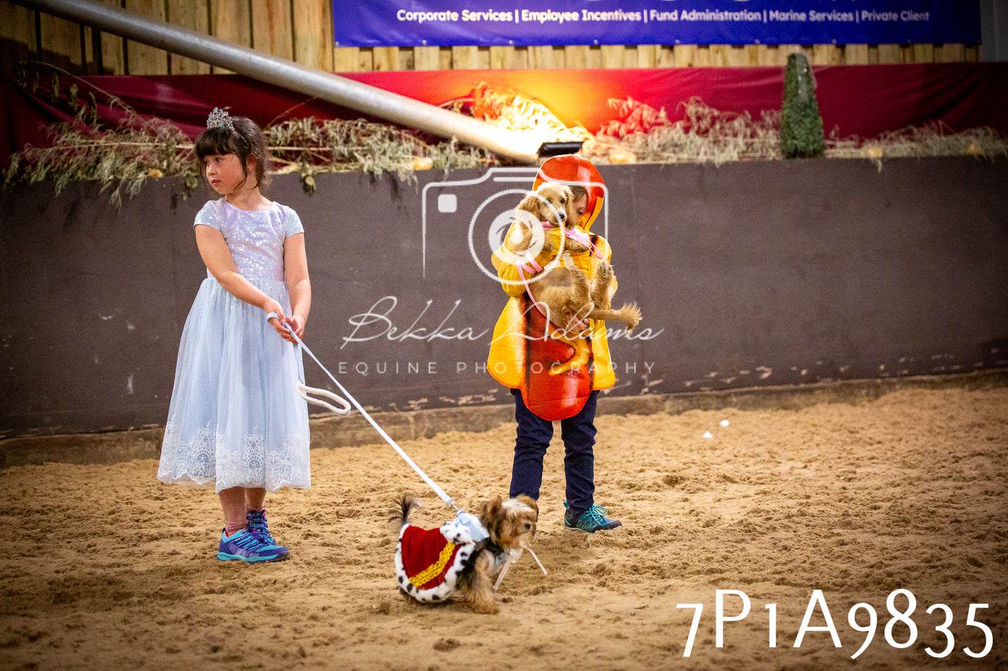 JHOYS 2025 - Dog Show - 12th September