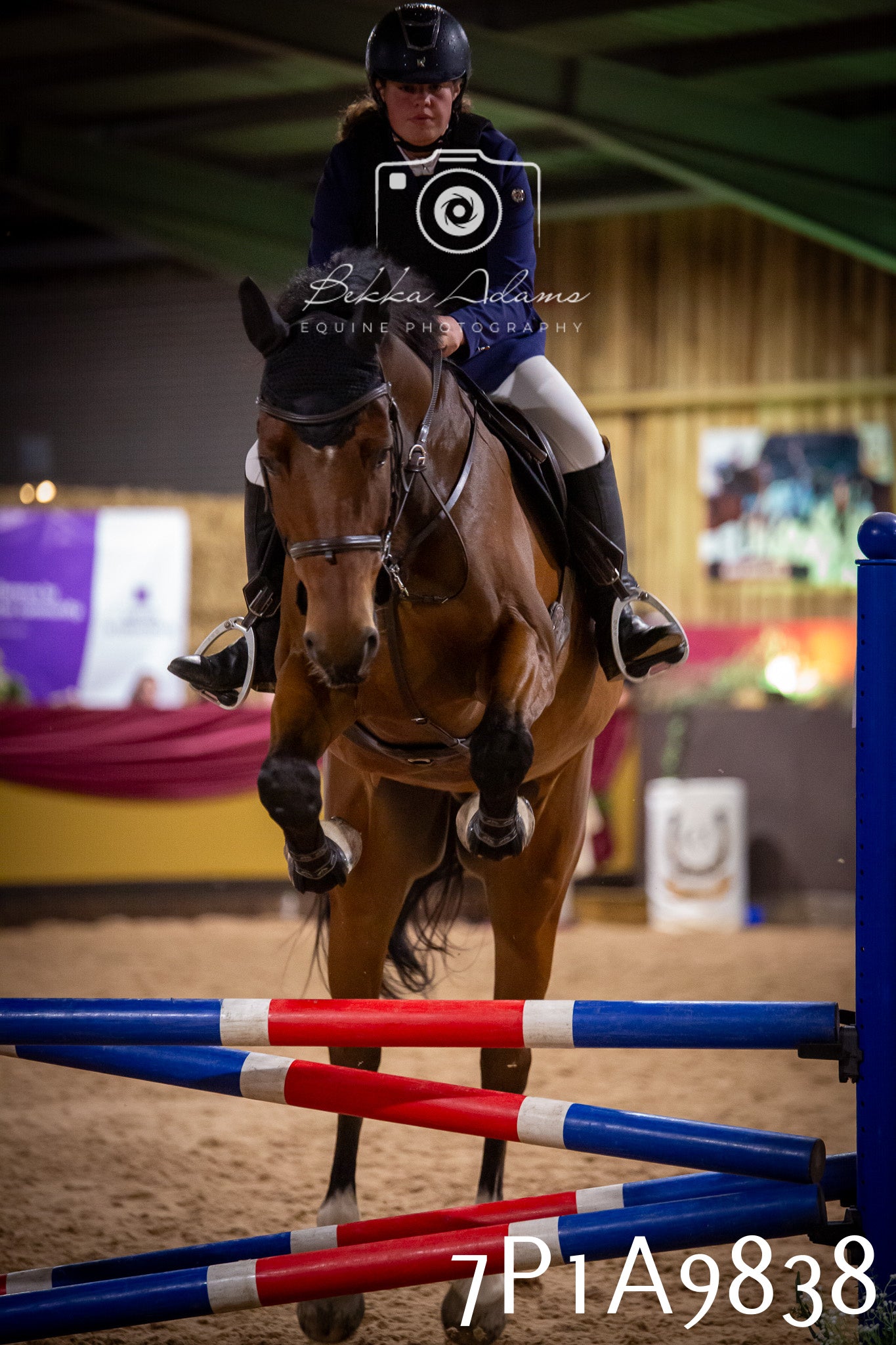 JHOYS 2025 - Senior Show Jumping - 21st September