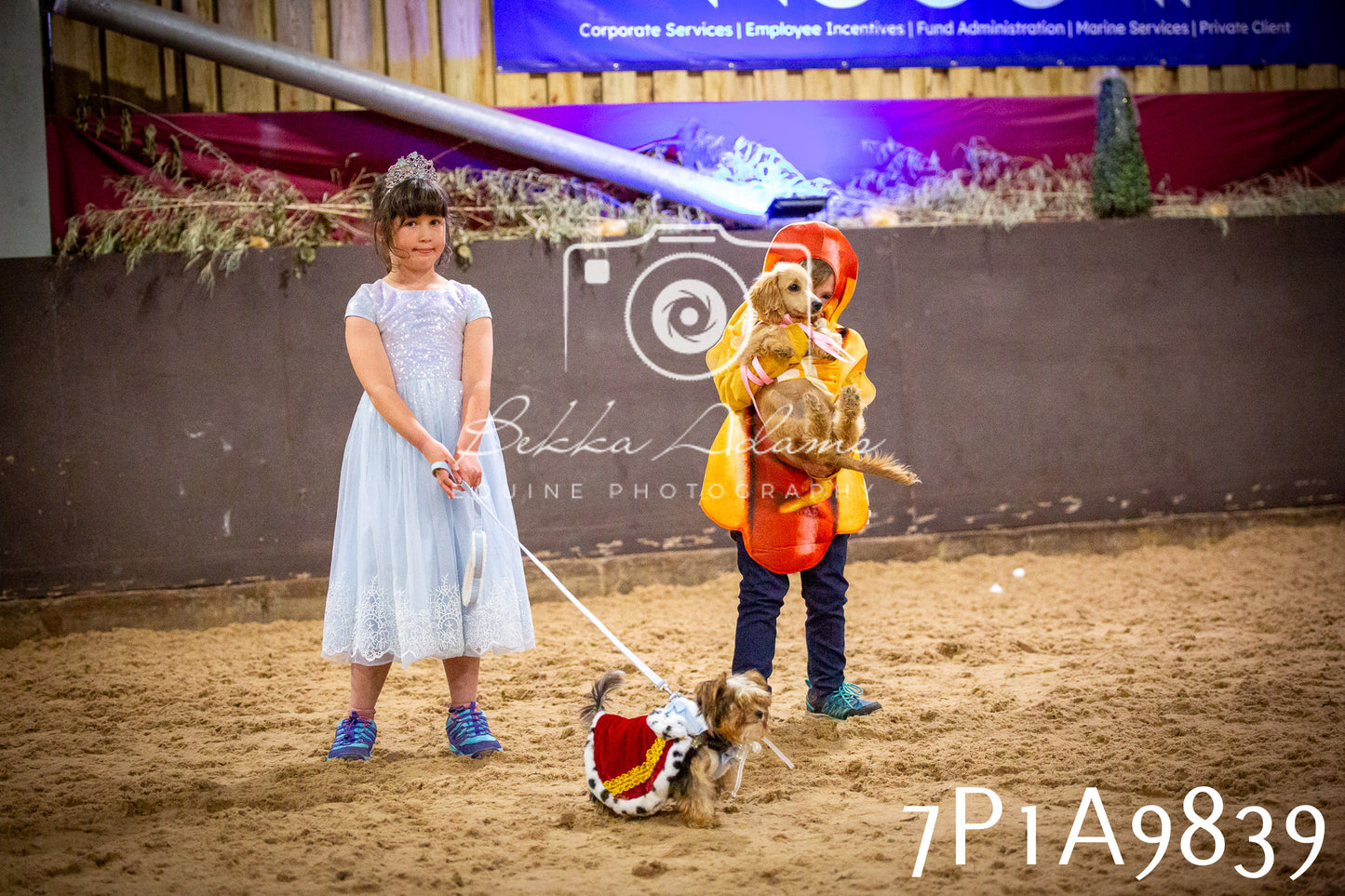 JHOYS 2025 - Dog Show - 12th September
