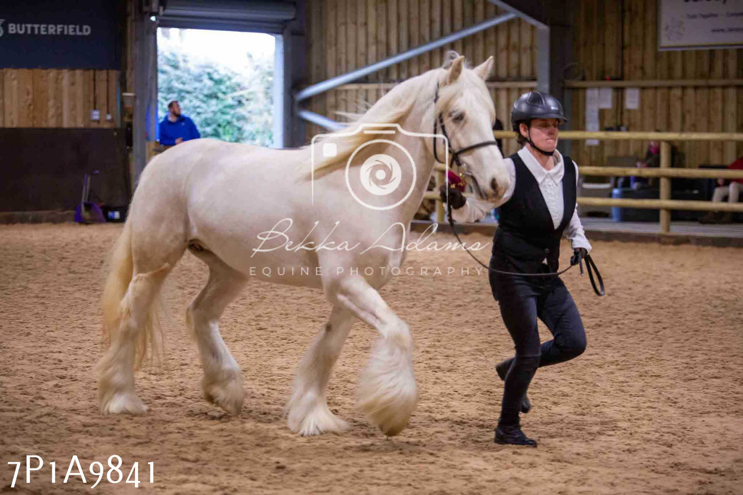 Home Farm Spring Show - Inhand Showing 23rd March 2024 - Part 2