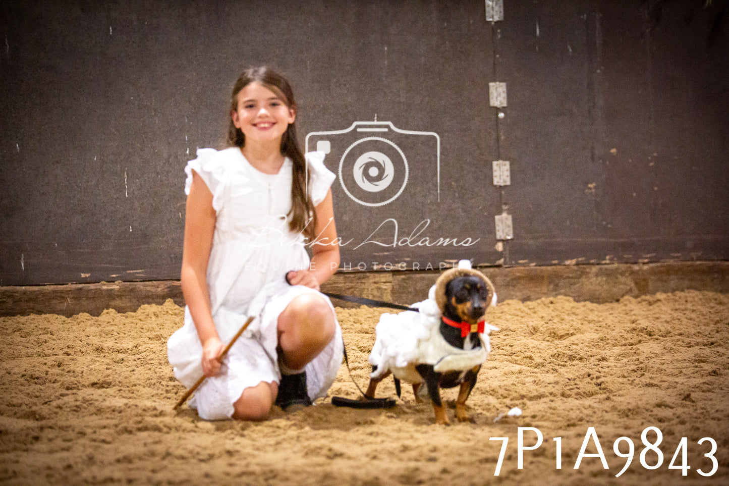 JHOYS 2025 - Dog Show - 12th September
