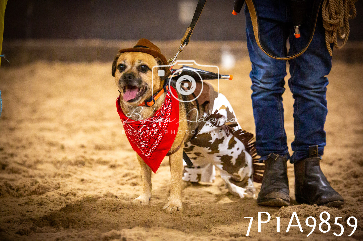JHOYS 2025 - Dog Show - 12th September