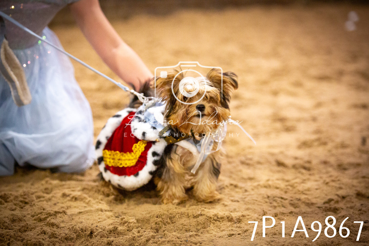 JHOYS 2025 - Dog Show - 12th September