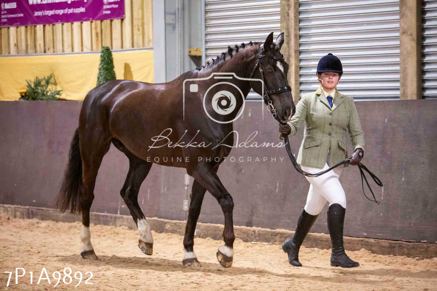 Home Farm Spring Show - Inhand Showing 23rd March 2024 - Part 2