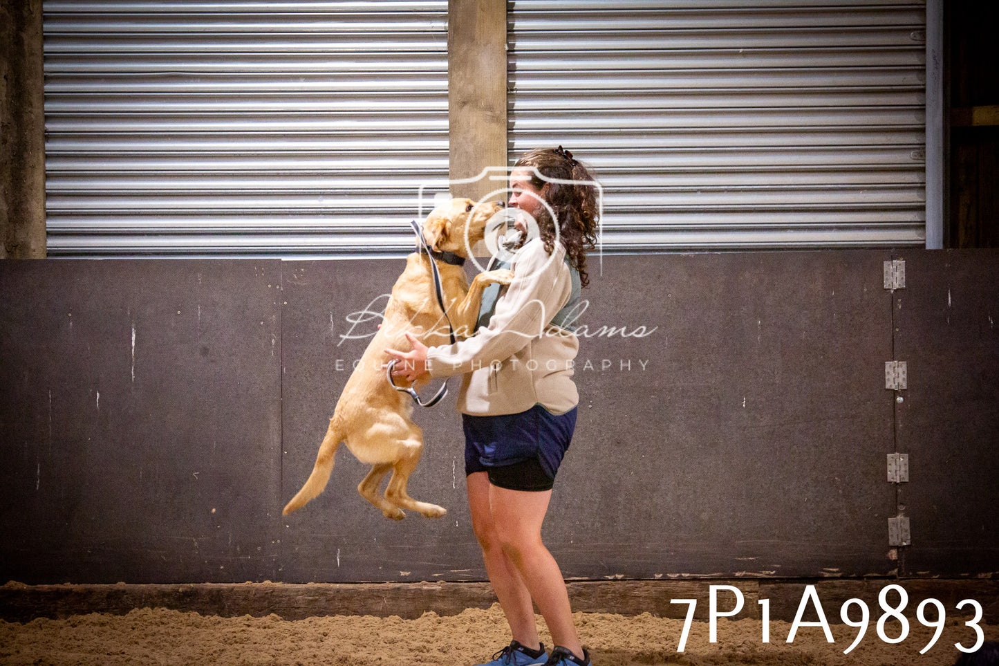 JHOYS 2025 - Dog Show - 12th September
