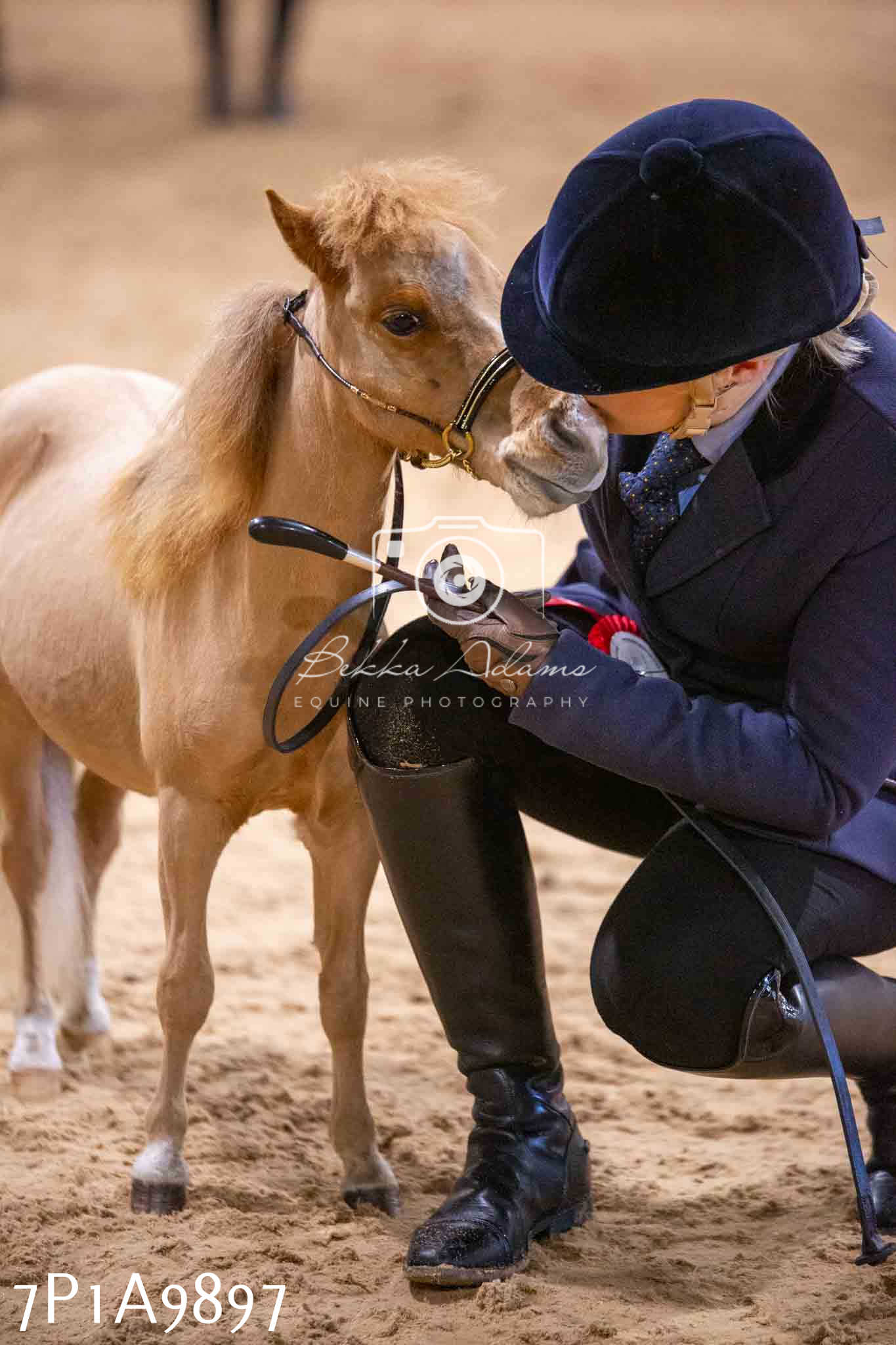 Home Farm Spring Show - Inhand Showing 23rd March 2024 - Part 2