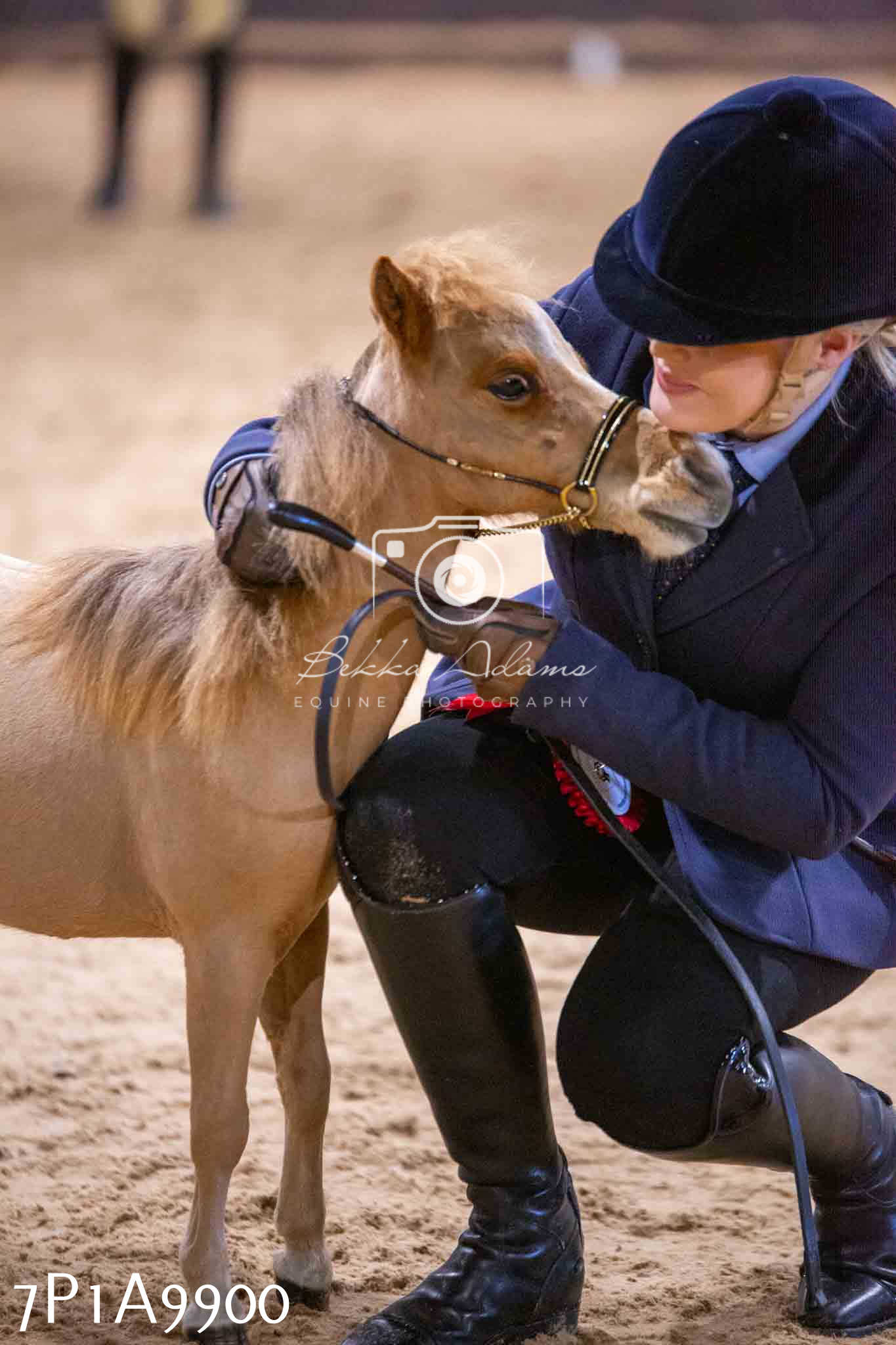 Home Farm Spring Show - Inhand Showing 23rd March 2024 - Part 2