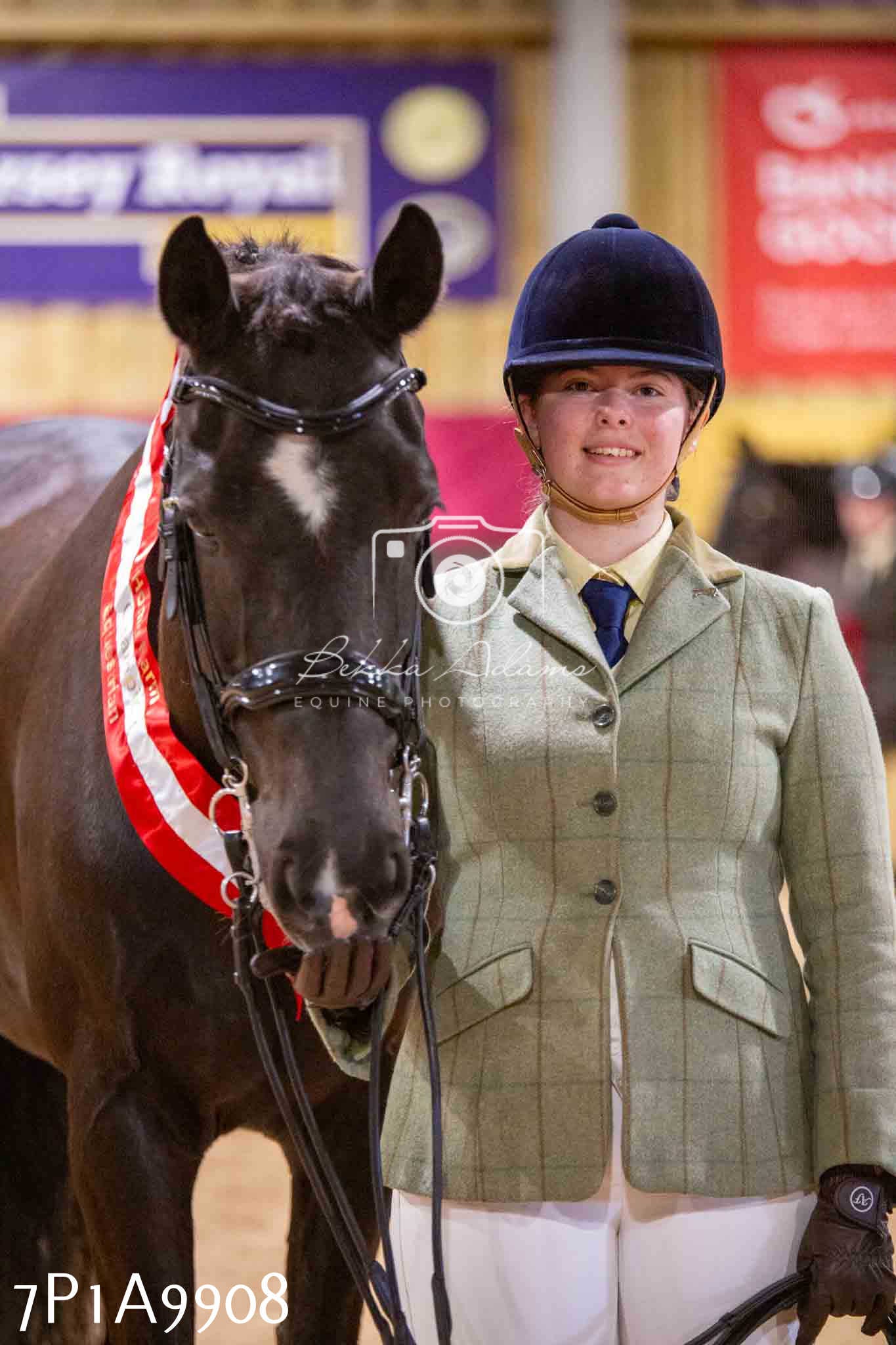 Home Farm Spring Show - Inhand Showing 23rd March 2024 - Part 2