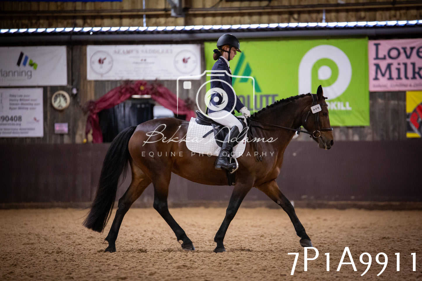 JHOYS 2025 - Dressage - 13th September
