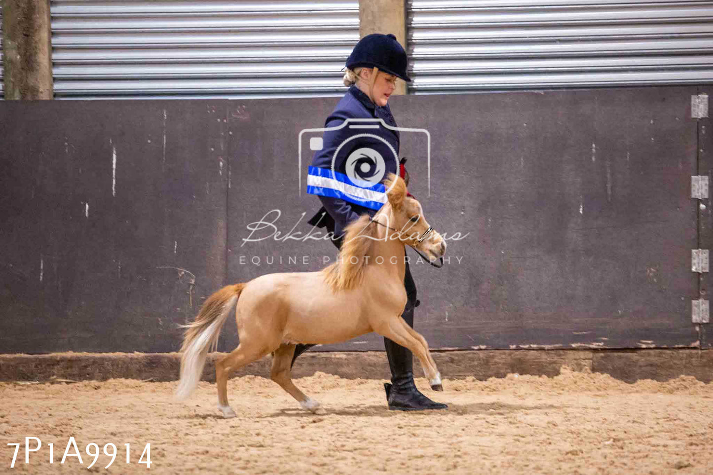Home Farm Spring Show - Inhand Showing 23rd March 2024 - Part 2