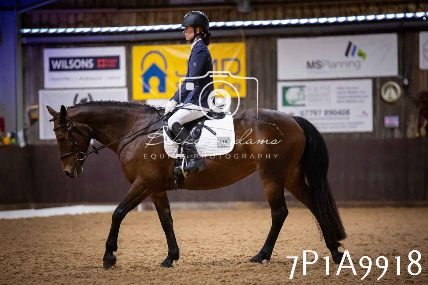 JHOYS 2025 - Dressage - 13th September