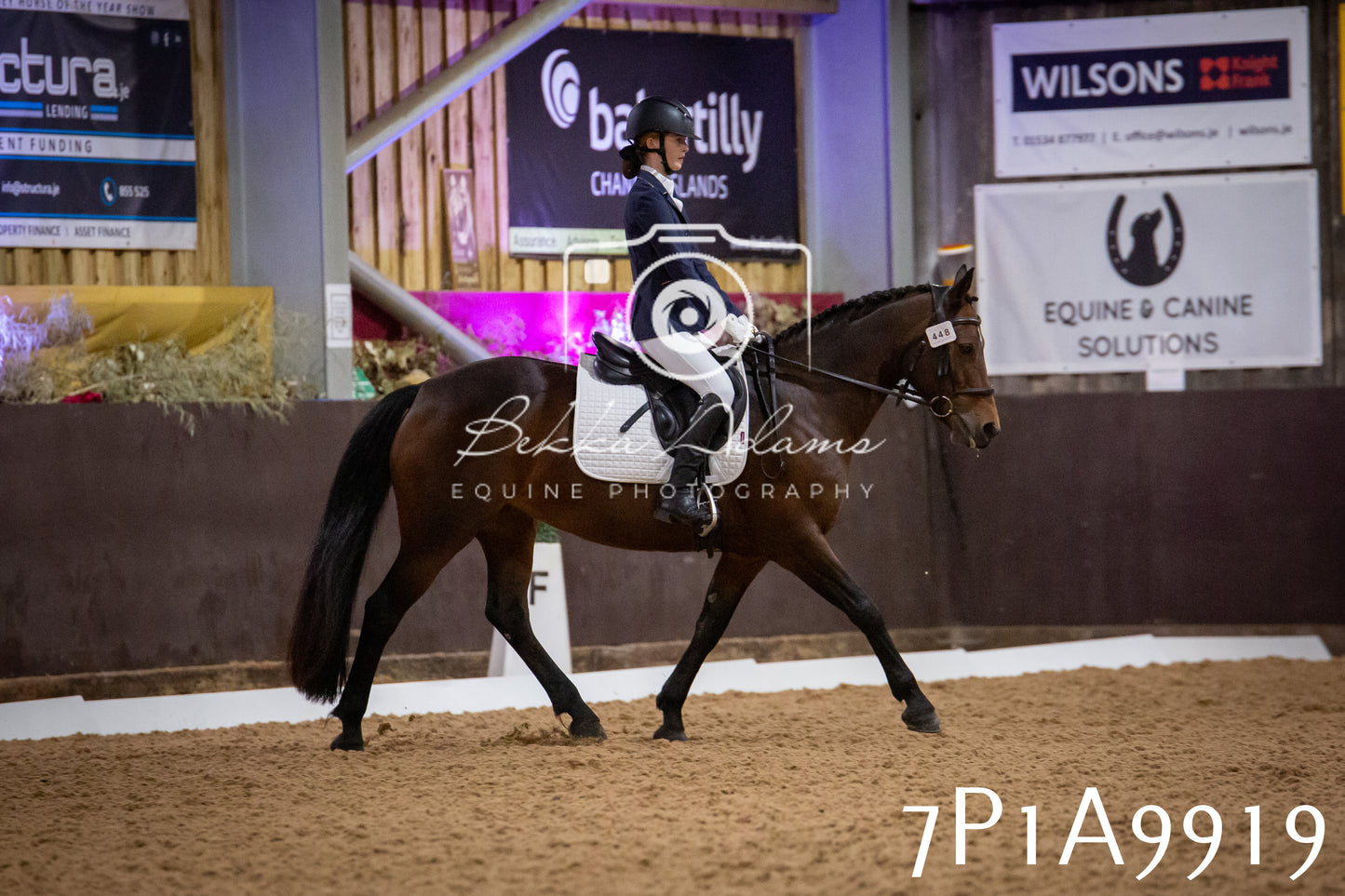 JHOYS 2025 - Dressage - 13th September