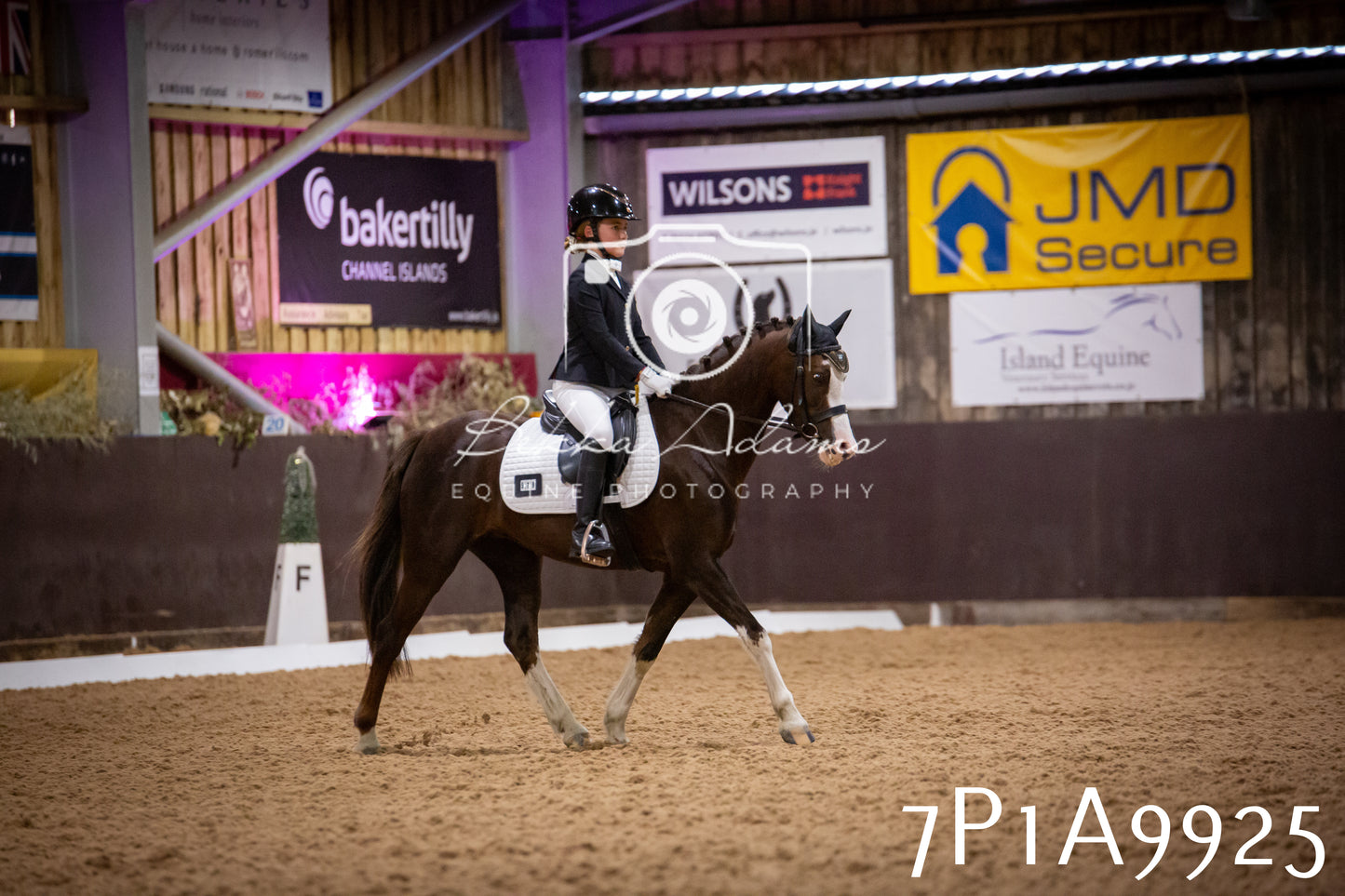 JHOYS 2025 - Dressage - 13th September