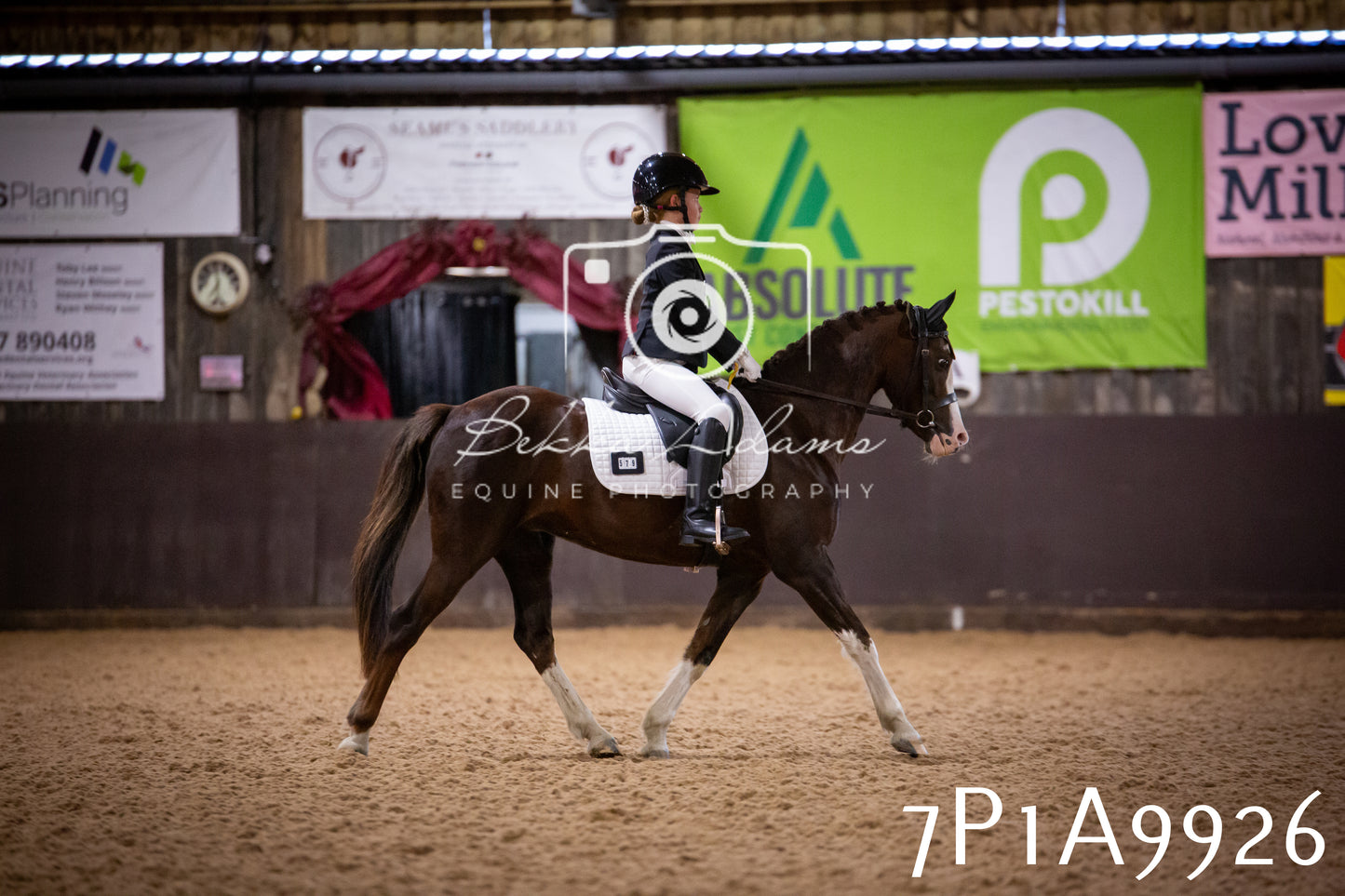JHOYS 2025 - Dressage - 13th September