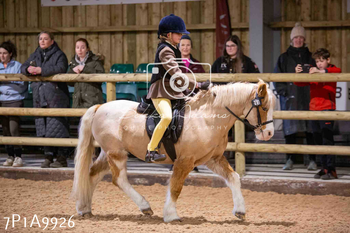 Home Farm Spring Show - Ridden Showing 24th March 2024 - Part 2